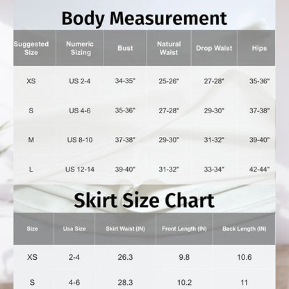 ViralVera Mini Skorts